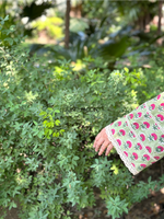 Load image into Gallery viewer, Nargis - Loose Fit Kurta